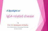 Ig g4 related disease