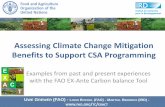 Assessing Climate Change Mitigation Benefits to Support CSA Programming