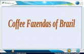 Coffee Fazendas of Brazil