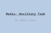 Ancillary task media