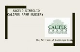 Caliper Farm Nursery - The Art Form of Landscape Design