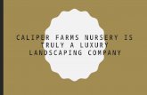 Caliper Farms Nursery Is Truly A Luxury Landscaping