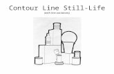 Contour Line Still-Life