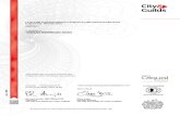 Certificate- City&Guilds L3