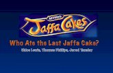 Jaffa cakes pitch