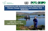Experiences with Ecosystem-based Approaches to Climate Change Adaptation and DIsaster Risk Reduction