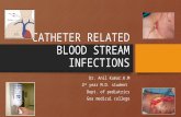 CATHETER RELATED BLOOD STREAM INFECTION