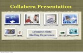 Collabera Presentation Feb 09
