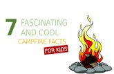 7 Fascinating And Cool Campfire Facts For Kids