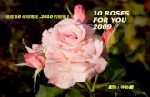 10朵玫瑰祝福您 2010