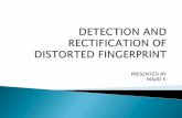 Detection and rectification of distorted fingerprint