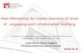 3.6 Peer mentoring for maths learning at level 4: engaging and collaborative learning