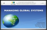 Gerencia de Sistemas Globales