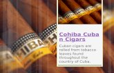 Cohiba cuban cigars