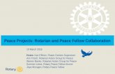 Peace Projects: Rotarian and Peace Fellow Collaboration