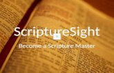 Scripture sight