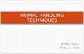 Animal Handling Techniques