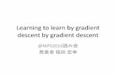 Learning to learn by gradient descent by gradient descent