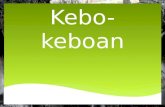 Kebo keboan in english