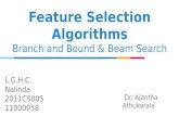 Branch And Bound and Beam Search Feature Selection Algorithms