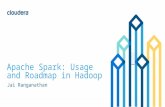Apache Spark: Usage and Roadmap in Hadoop
