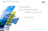 WAN Ethernet Services