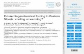 Future biogeochemical forcing in Eastern Siberia: cooling or warming?
