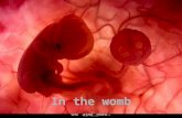 How A Baby Grows In The Mothers Womb