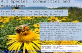 BioKnowledgy presentation on 4.1 Species, communities and ecosystems