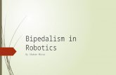 Bipedalism in robotics