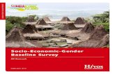 Socio-Economic-Gender Baseline Survey