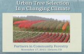 Urban Tree Selection in a Changing Climate