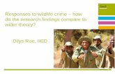 Responses to wildlife crime – how do the research findings compare to wider theory?