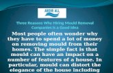 Three reasons why hiring mould removal companies is