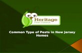 Common Type of Pests in New Jersey Homes by Heritage Pest Control