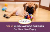 Top 10 Must-Have Dog Supplies For Your New Puppy