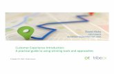 Customer Experience Service Event 15th September 2016 Tribe presentation