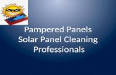 Pampered Panels (commercial)