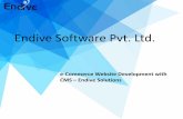 E-commerce Website Development Solutions - Endive Software