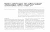Phylogeny and biogeography of the freshwater crab genus Johora ...