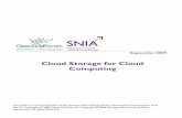 Cloud Storage for Cloud Computing