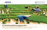 Chhattisgarh report phd