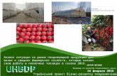 UHBDP for Greenhouse business 24022016