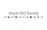 Oracle EDQ Training