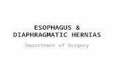 Esophagus & Diaphragmatic Hernia