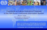 Comments on Labour Indicators Proposed in the FAO Rural Livelihoods Information System (Monica Castillo, ILO)