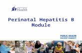 Perinatal hepatitis b module