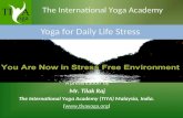 Yoga for Daily Life Stress