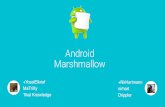 Android Marshmallow demos