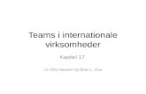 Kapitel 17: Teams i internationale virksomheder